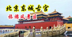好骚激情操逼亚洲品质视频中国北京-东城古宫旅游风景区